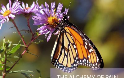 The Alchemy of Pain…