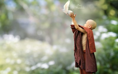 EMPTY YOUR CUP: RELEASE AND RE-LIVE