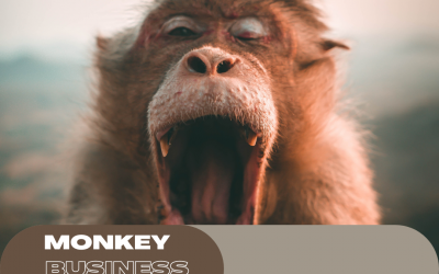 Monkey Business