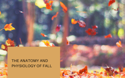 The Anatomy and Physiology of Fall