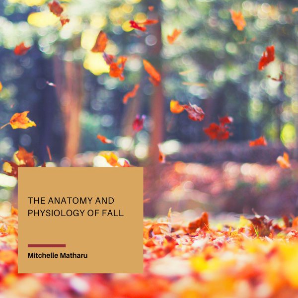 The Anatomy and Physiology of Fall