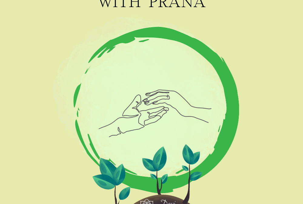 MY RELATIONSHIP WITH PRANA